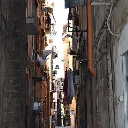 La Regina Di Vertecoeli Naples